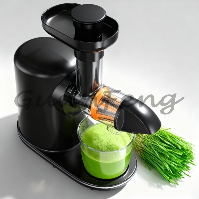 Cold Press Slow Juicer Electri - Juicer Cold Press Slow 评论和价格